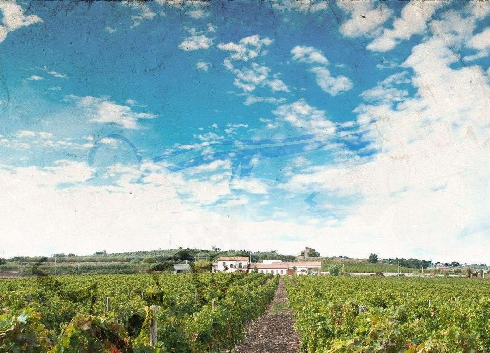 I Dolci Grappoli Villa Larino ภายนอก รูปภาพ