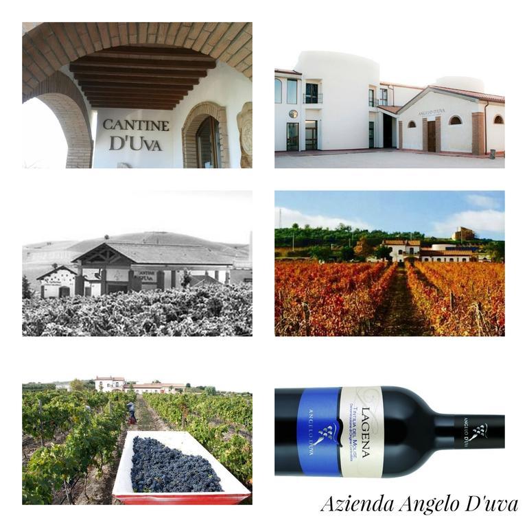 I Dolci Grappoli Villa Larino ภายนอก รูปภาพ